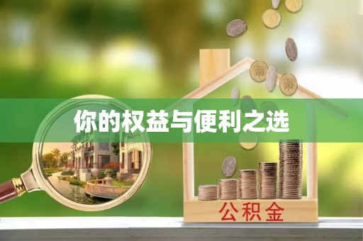 江干你的权益与便利之选