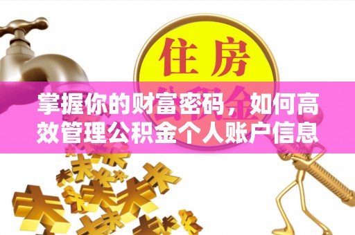 江干掌握你的财富密码，如何高效管理公积金个人账户信息